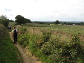 Approaching Hambledon